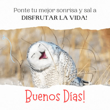 Buenos días divertidos para compartir con amigos