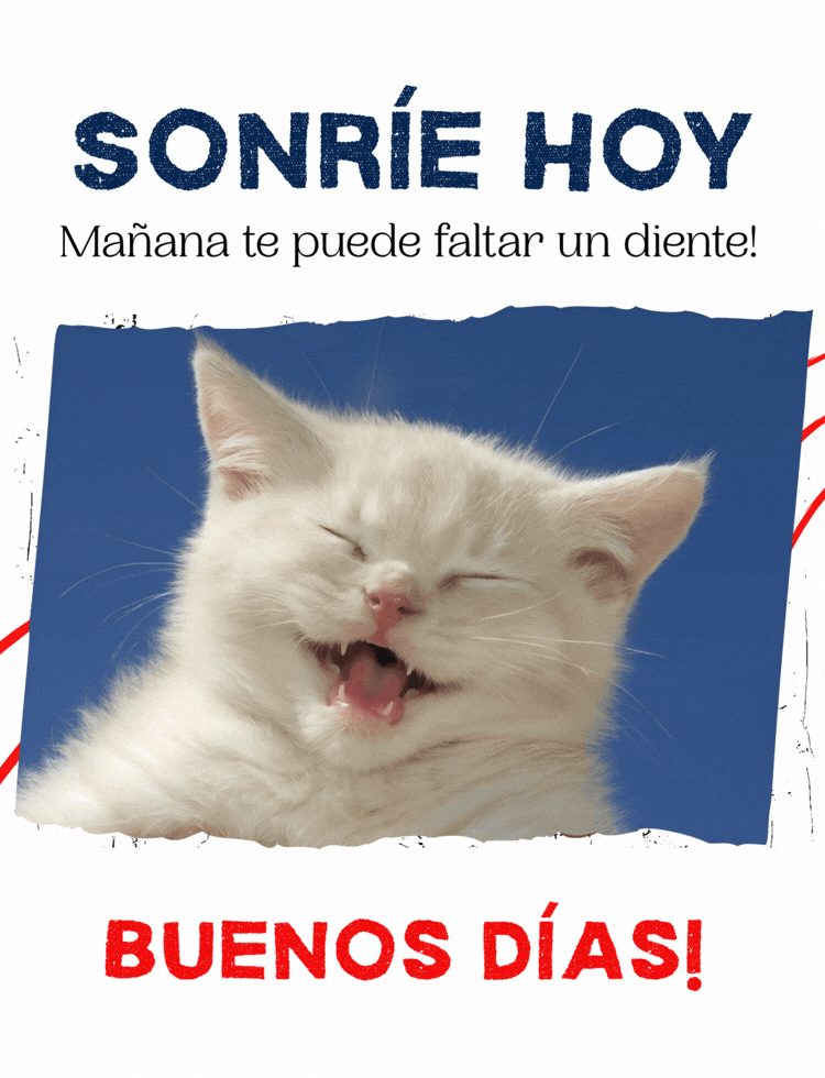 Imagen de gato riendo con un consejo gracioso de buenos días para compartir.