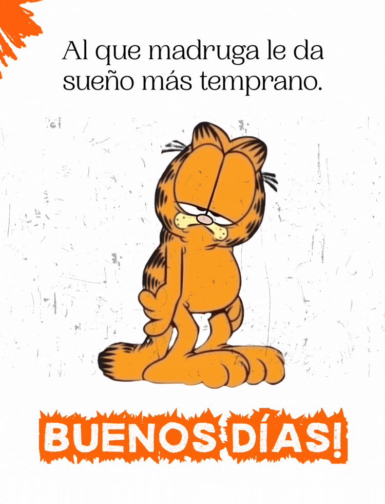 Imagen con una frase chistosa de buenos días para compartir.