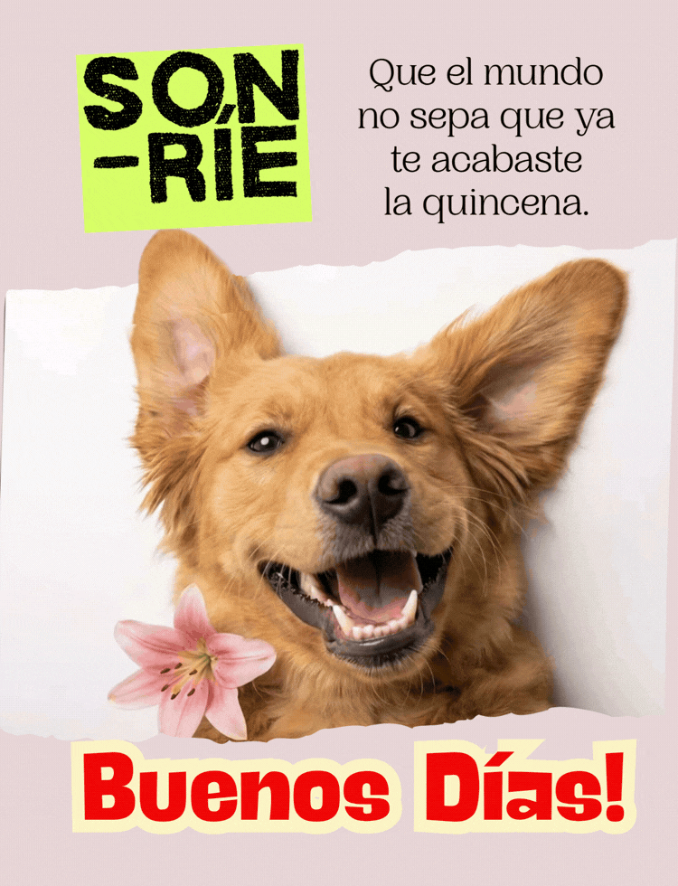 Imagen con una ocurrencia divertida de buenos días para compartir.